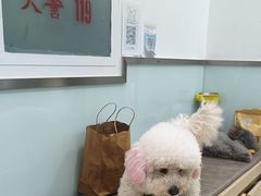 -宠福鑫康馨动物医院·骨科·眼科