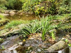 -高老庄·老溧阳·私房菜(南山竹海店)