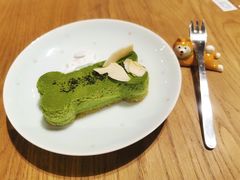 -柴务处·柴犬主题狗咖