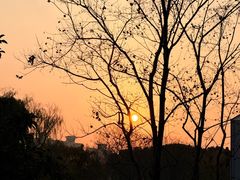 -昆山城市生态森林公园