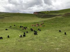 -扁都口生态休闲旅游区