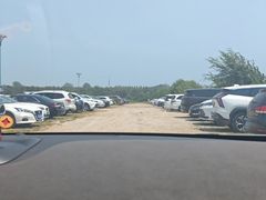 -日照海滨国家森林公园