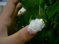 SL370713-浪漫美甲美睫