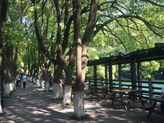 -白马涧龙池景区