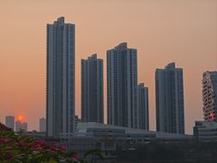 -厦门园林博览苑