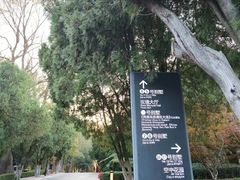 -棒棰岛宾馆景区