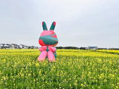 -同里国家湿地公园
