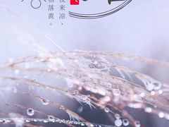 -裕和堂中医推拿艾灸(太古汇臻品店)