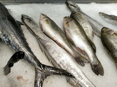 -滨海小渔村·海肠捞饭·鲅鱼水饺·特色老火鱼丸汤(华田店)