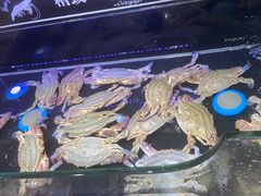 -星伦多自助料理(宝山龙湖天街店)