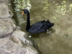 -海合安武汉极地海洋公园