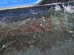 -溪悦渔庄(九龙湖店)
