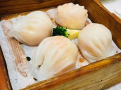 -鹅城