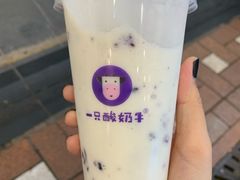 -一只酸奶牛(八一路店)