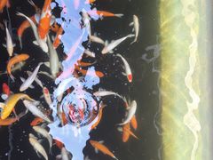 -侠成水上农庄(工业大道店)