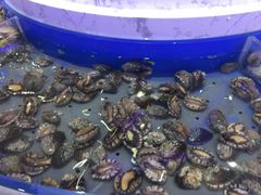 -澜悦港海鲜体验主题餐厅