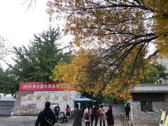 -金枝玉叶上海人家食府(三里河店)