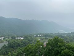 -南山植物园