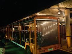 -夜间野生动物园