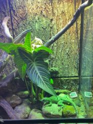 -酷嗒动物文化乐园(cutezoo西溪乐天城店)