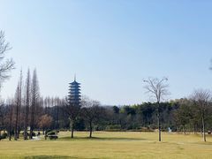 -宜兴龙背山森林公园