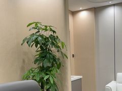 -W·24H茶楼·棋牌·掼蛋(望京店)