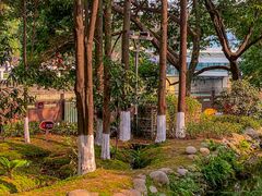 -成都市活水公园