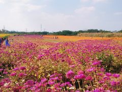 -映月湖中央公园