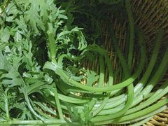 -巴奴毛肚火锅(广益哥伦布店)
