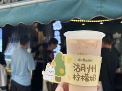 -猫的魔法密林(衣裳街店)