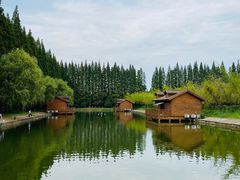 -金岛生态园烧烤露营地