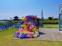 -杭州湾海上花田景区