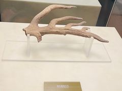 -嘉定博物馆