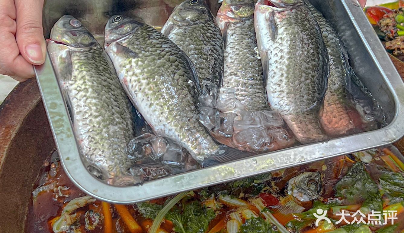 社区都爱吃的土鲫鱼🐟超级巴适下饭[调皮]