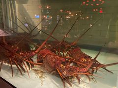 -Water Grill(圣莫妮卡店)