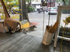 -五进制 Coffee Shop