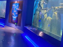 -石家庄海洋公园