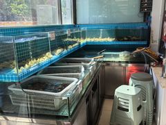 -日丰园海肠水饺·老字号大连海鲜(小平岛总店)