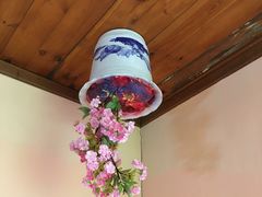 -金山农民画村-枫泾波兰倒置屋