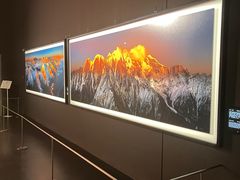 -罗红摄影艺术馆