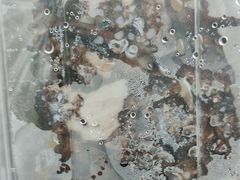 -农汤老店(顺联公园里店)