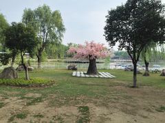 -祥源·阜阳生态乐园