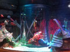 -沈阳海洋探索中心