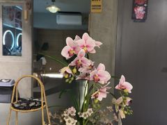 -施奈儿.洗头頭療.按摩SPA.采耳(上梅林店)
