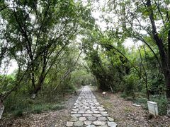 -盘龙城遗址博物院