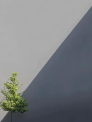 -WAVE SODA摄影工作室