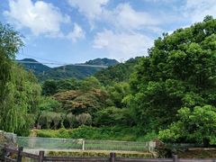 -南丹山森林王国