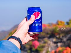 -秦岭风景区