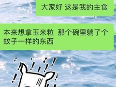 -大中华希尔顿酒店-念自助餐·嗨啤·小龙虾