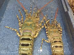 -蚝得喜海鲜(东城店)